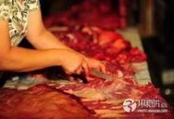 马肉 高清在线观看,高清在线揭秘神秘美食之旅